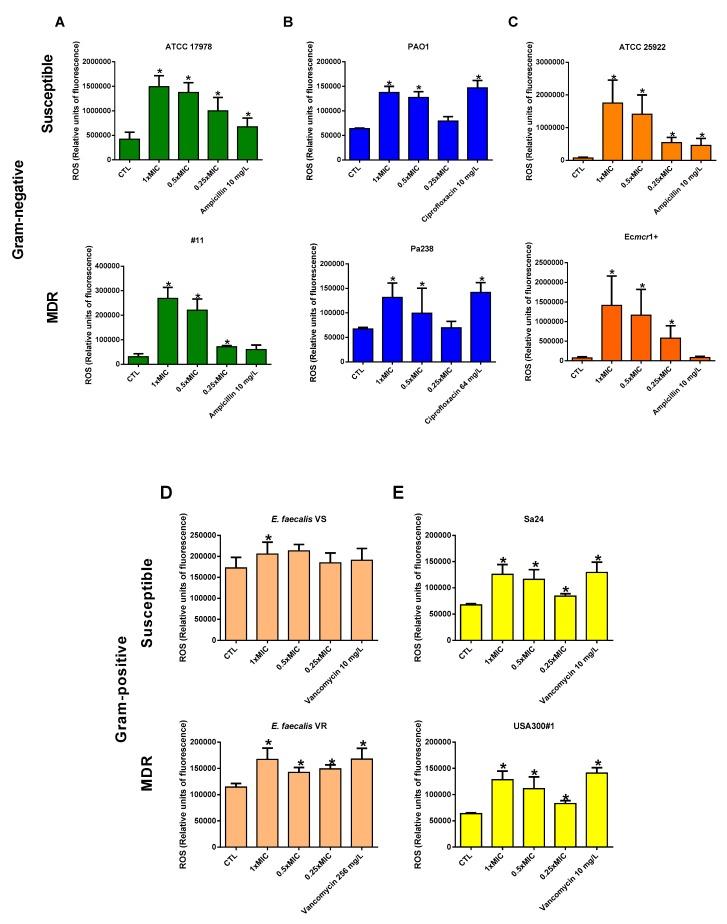 https://cdn.ncbi.nlm.nih.gov/pmc/blobs/d86f/7167925/703ea62fcf96/antibiotics-09-00036-g002.jpg