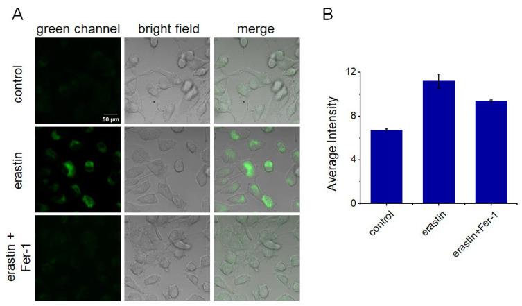 https://cdn.ncbi.nlm.nih.gov/pmc/blobs/d89a/10745935/1c2fa5a41f47/molecules-28-07976-g008.jpg
