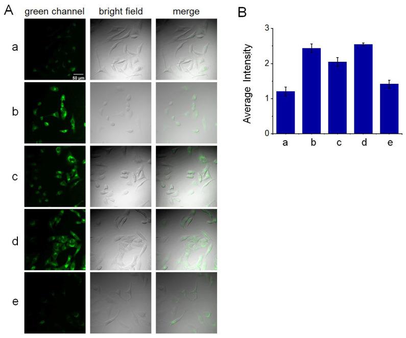 https://cdn.ncbi.nlm.nih.gov/pmc/blobs/d89a/10745935/c96d345ea781/molecules-28-07976-g006.jpg