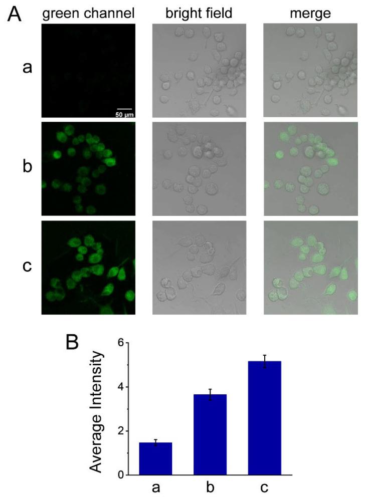 https://cdn.ncbi.nlm.nih.gov/pmc/blobs/d89a/10745935/cbfb3ad6b4d7/molecules-28-07976-g007.jpg