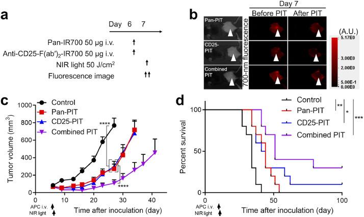 https://cdn.ncbi.nlm.nih.gov/pmc/blobs/d8ce/8102756/f8acaffc9a8e/gr3.jpg