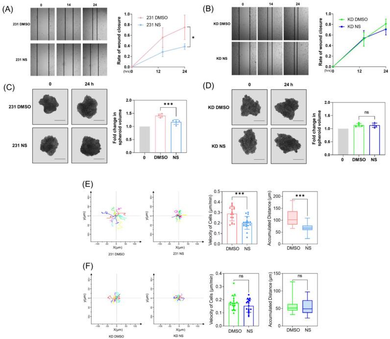 https://cdn.ncbi.nlm.nih.gov/pmc/blobs/d8de/9368491/b999fb6cf8dd/cells-11-02461-g001.jpg