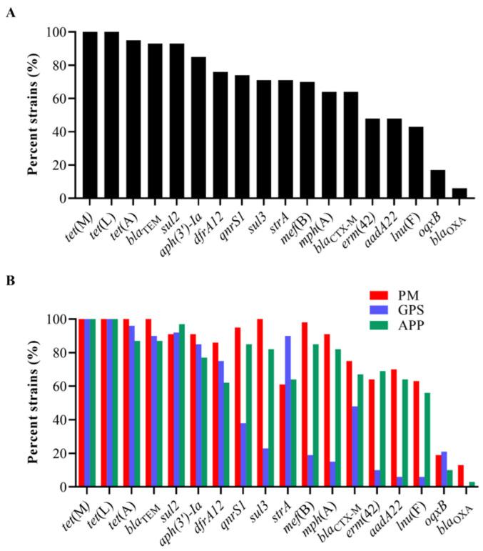https://cdn.ncbi.nlm.nih.gov/pmc/blobs/d8fc/12029755/f0eced438f3a/microorganisms-13-00938-g003.jpg