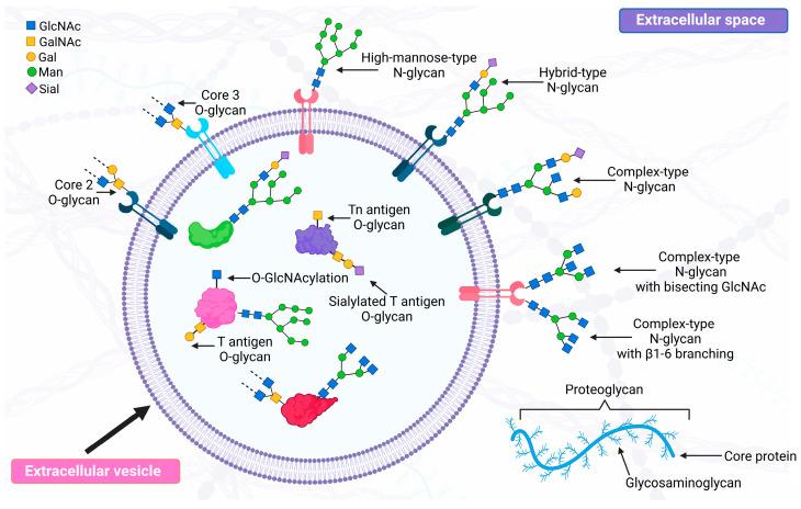https://cdn.ncbi.nlm.nih.gov/pmc/blobs/d8fd/11596185/6996e6a78b78/molecules-29-05241-g002.jpg
