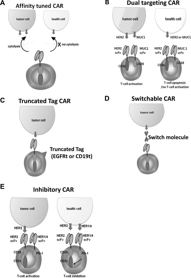 https://cdn.ncbi.nlm.nih.gov/pmc/blobs/d901/5617544/6b6e79648bae/oncotarget-08-62730-g002.jpg