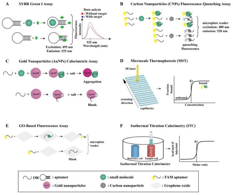 https://cdn.ncbi.nlm.nih.gov/pmc/blobs/d912/9776347/bdd8ee3475a7/biosensors-12-01142-g002.jpg