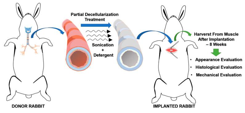 https://cdn.ncbi.nlm.nih.gov/pmc/blobs/d914/8230409/e41c132a55a3/biomolecules-11-00866-g002.jpg
