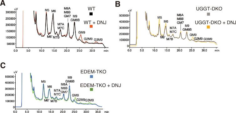 https://cdn.ncbi.nlm.nih.gov/pmc/blobs/d926/11630818/086f40fb8b83/elife-93117-fig1-figsupp4.jpg