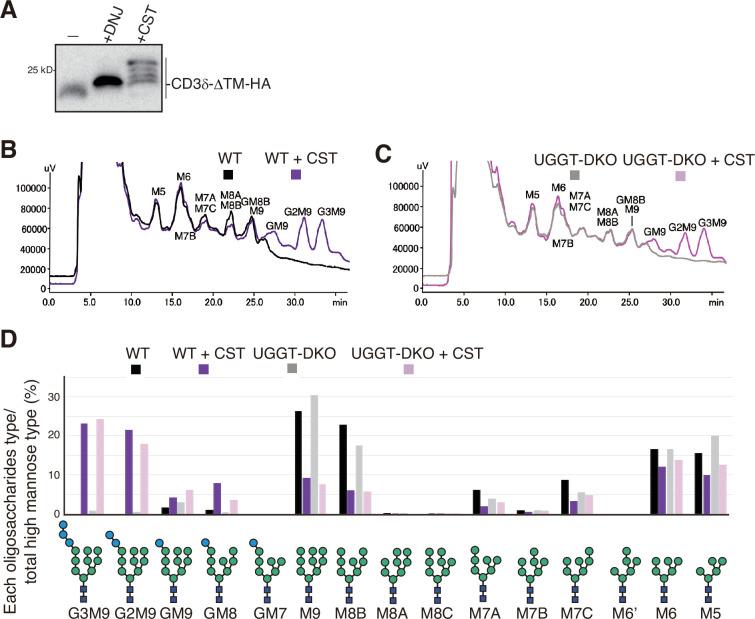 https://cdn.ncbi.nlm.nih.gov/pmc/blobs/d926/11630818/9ea96acd6be7/elife-93117-fig1-figsupp6.jpg
