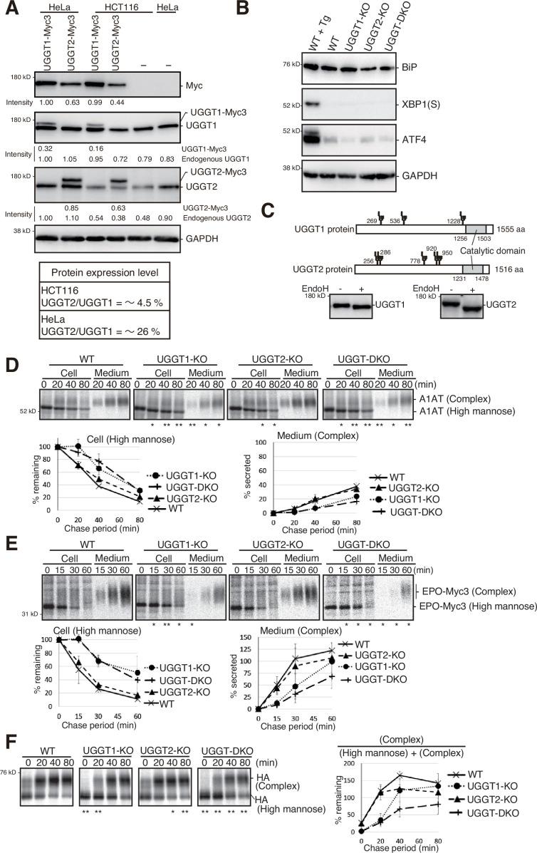 https://cdn.ncbi.nlm.nih.gov/pmc/blobs/d926/11630818/a35840a5a1ce/elife-93117-fig1-figsupp2.jpg