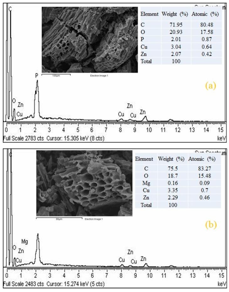 https://cdn.ncbi.nlm.nih.gov/pmc/blobs/d92b/7248722/1bf78c826db3/molecules-25-02118-g002.jpg