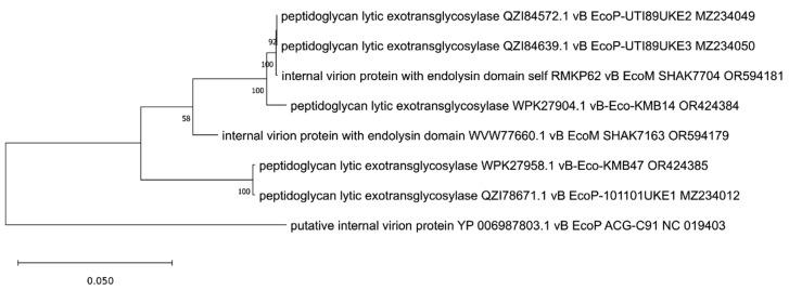 https://cdn.ncbi.nlm.nih.gov/pmc/blobs/d92d/12031403/52c47b3e27f3/viruses-17-00560-g007.jpg