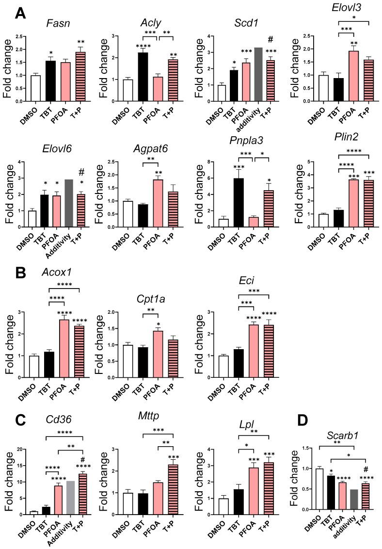 https://cdn.ncbi.nlm.nih.gov/pmc/blobs/d949/11171786/86c8c67d2ab2/cells-13-00940-g003.jpg
