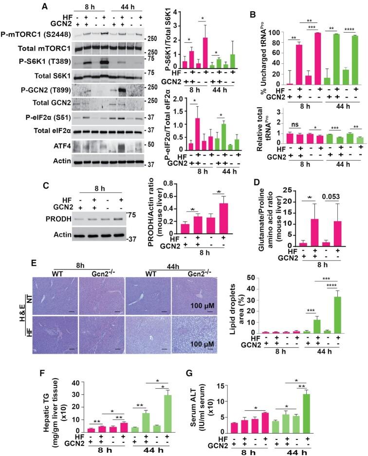 https://cdn.ncbi.nlm.nih.gov/pmc/blobs/d956/8191763/b27a9713243e/gkab362fig5.jpg