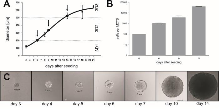 https://cdn.ncbi.nlm.nih.gov/pmc/blobs/d963/5352092/154b3033c977/oncotarget-08-1725-g001.jpg