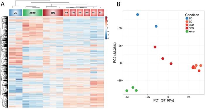 https://cdn.ncbi.nlm.nih.gov/pmc/blobs/d963/5352092/39632b83b229/oncotarget-08-1725-g003.jpg