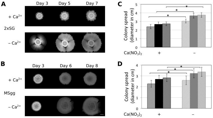 https://cdn.ncbi.nlm.nih.gov/pmc/blobs/d967/5374384/3e2ce2518aac/microorganisms-05-00007-g001.jpg