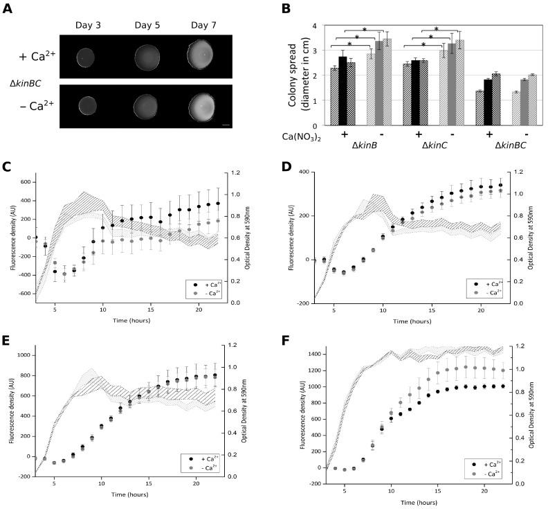 https://cdn.ncbi.nlm.nih.gov/pmc/blobs/d967/5374384/8cef9cd06b85/microorganisms-05-00007-g004.jpg