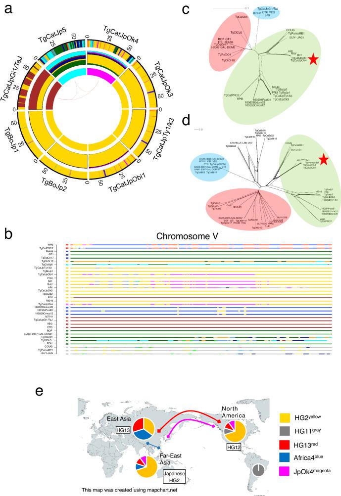 https://cdn.ncbi.nlm.nih.gov/pmc/blobs/d975/11111807/ae4bc764d494/41467_2024_47625_Fig4_HTML.jpg