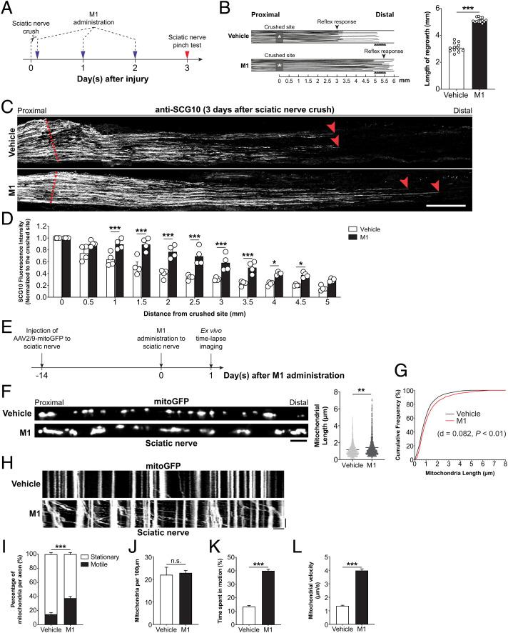 https://cdn.ncbi.nlm.nih.gov/pmc/blobs/d982/9636930/3f7642c0a7e5/pnas.2121273119fig03.jpg