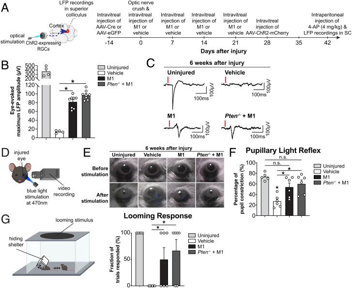 https://cdn.ncbi.nlm.nih.gov/pmc/blobs/d982/9636930/6e8e66e4e3e6/pnas.2121273119fig07.jpg