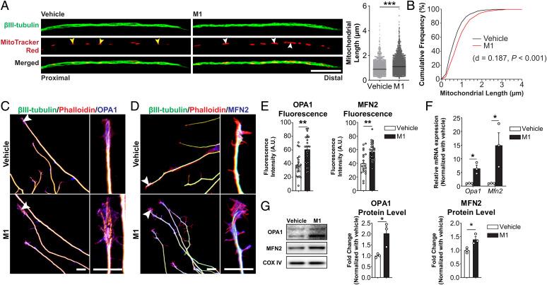 https://cdn.ncbi.nlm.nih.gov/pmc/blobs/d982/9636930/d237065a109e/pnas.2121273119fig01.jpg