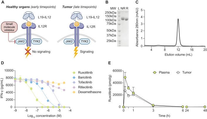 https://cdn.ncbi.nlm.nih.gov/pmc/blobs/d984/11018789/bc17d6fa1c9c/44321_2024_34_Fig1_HTML.jpg
