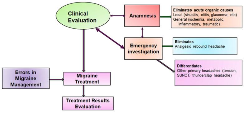 https://cdn.ncbi.nlm.nih.gov/pmc/blobs/d9ba/11203885/1860551370a3/jcm-13-03364-g002.jpg