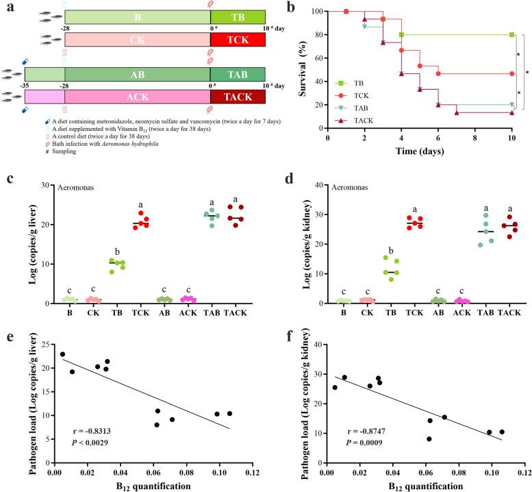 https://cdn.ncbi.nlm.nih.gov/pmc/blobs/d9ca/10268390/b5ca9c59bd03/40168_2023_1574_Fig4_HTML.jpg