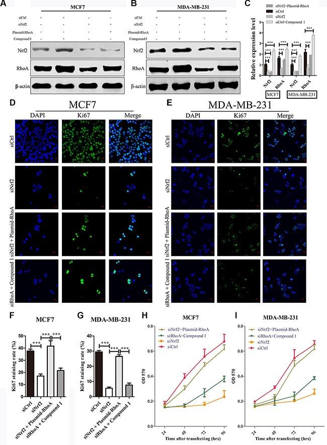 https://cdn.ncbi.nlm.nih.gov/pmc/blobs/d9e8/5342001/36ca59227a8e/oncotarget-07-73593-g006.jpg
