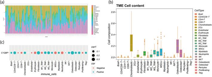 https://cdn.ncbi.nlm.nih.gov/pmc/blobs/d9fa/11561849/9abe42c99a75/BTM2-9-e10654-g003.jpg