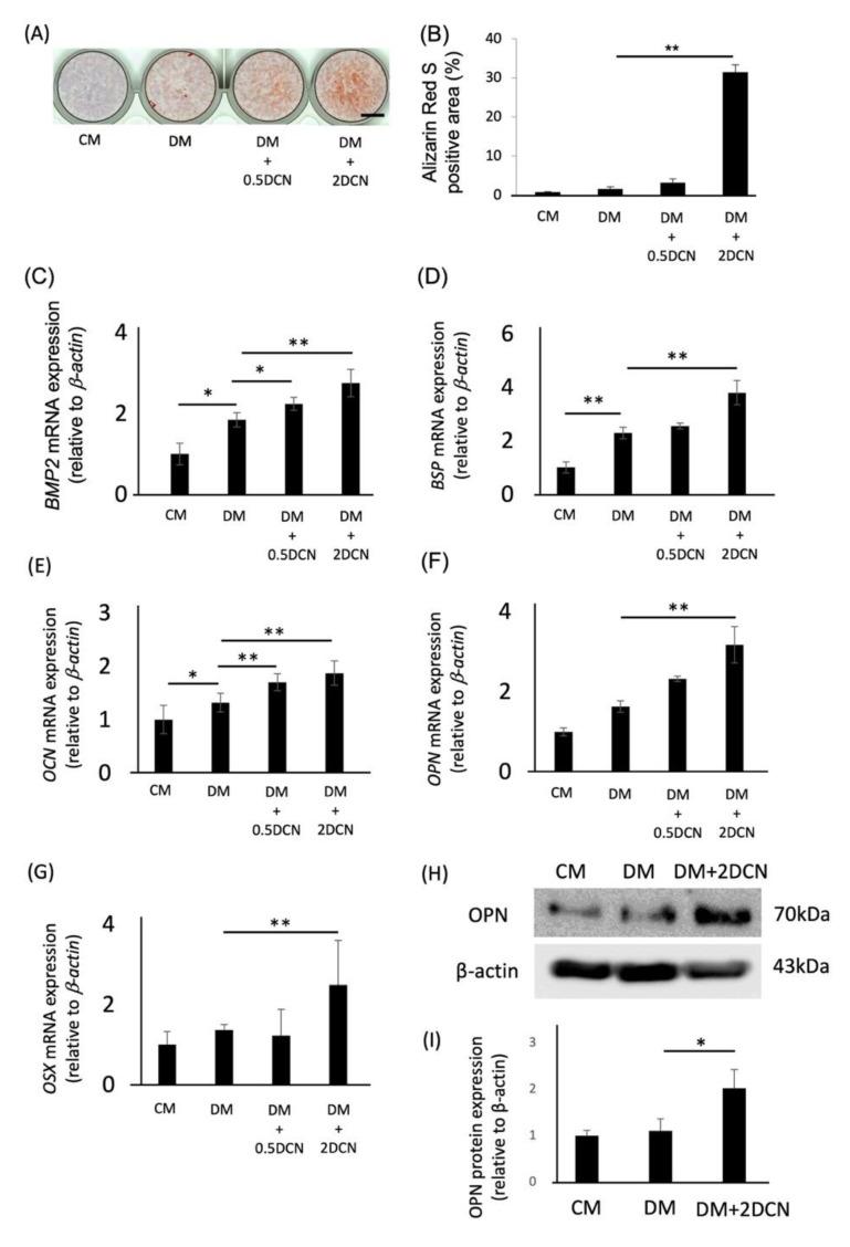 https://cdn.ncbi.nlm.nih.gov/pmc/blobs/da0b/9739490/f920ba3703ce/molecules-27-08224-g002.jpg