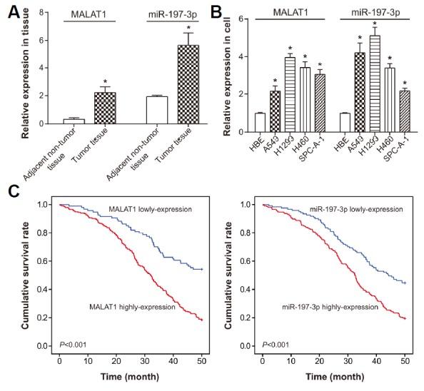 https://cdn.ncbi.nlm.nih.gov/pmc/blobs/da13/6449715/71485a0244e7/molce-42-3-270f1.jpg