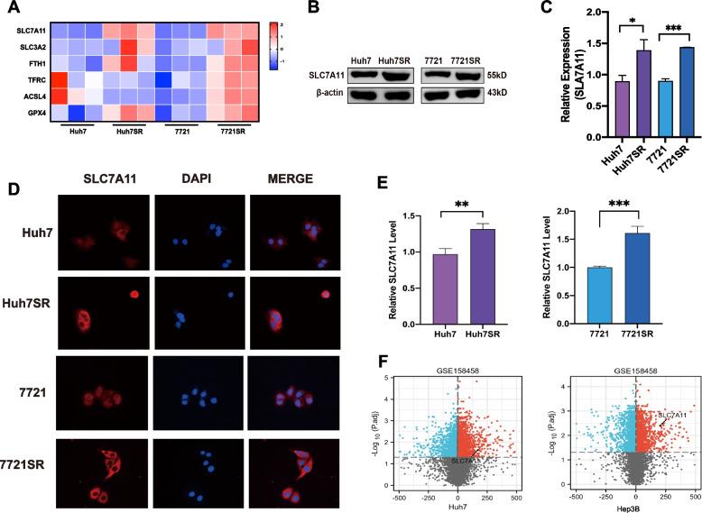 https://cdn.ncbi.nlm.nih.gov/pmc/blobs/da32/9817350/6c622312183d/13046_2022_2567_Fig2_HTML.jpg