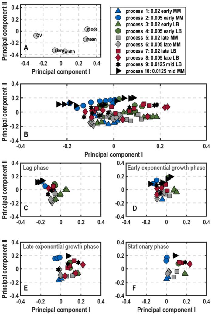 https://cdn.ncbi.nlm.nih.gov/pmc/blobs/da3d/10384452/e558ca8247f4/microorganisms-11-01763-g005.jpg
