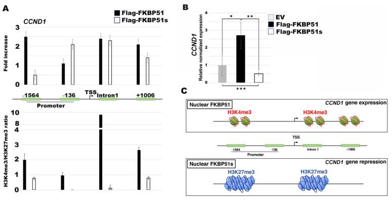 https://cdn.ncbi.nlm.nih.gov/pmc/blobs/da3d/8468141/c2c0a2f8d02b/cells-10-02366-g004.jpg
