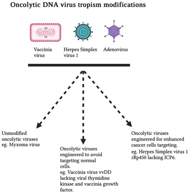 https://cdn.ncbi.nlm.nih.gov/pmc/blobs/da57/10675630/a88b783792c1/viruses-15-02262-g001.jpg