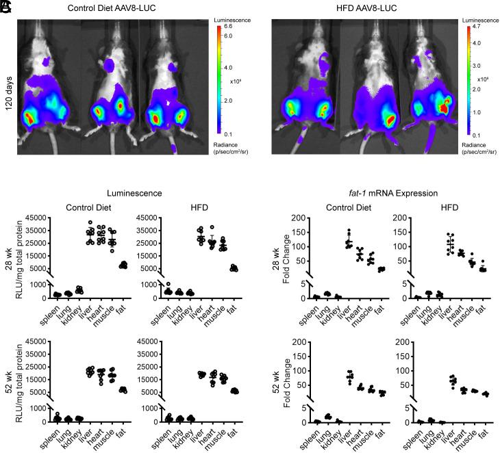 https://cdn.ncbi.nlm.nih.gov/pmc/blobs/da6a/11513907/678581283661/pnas.2402954121fig09.jpg