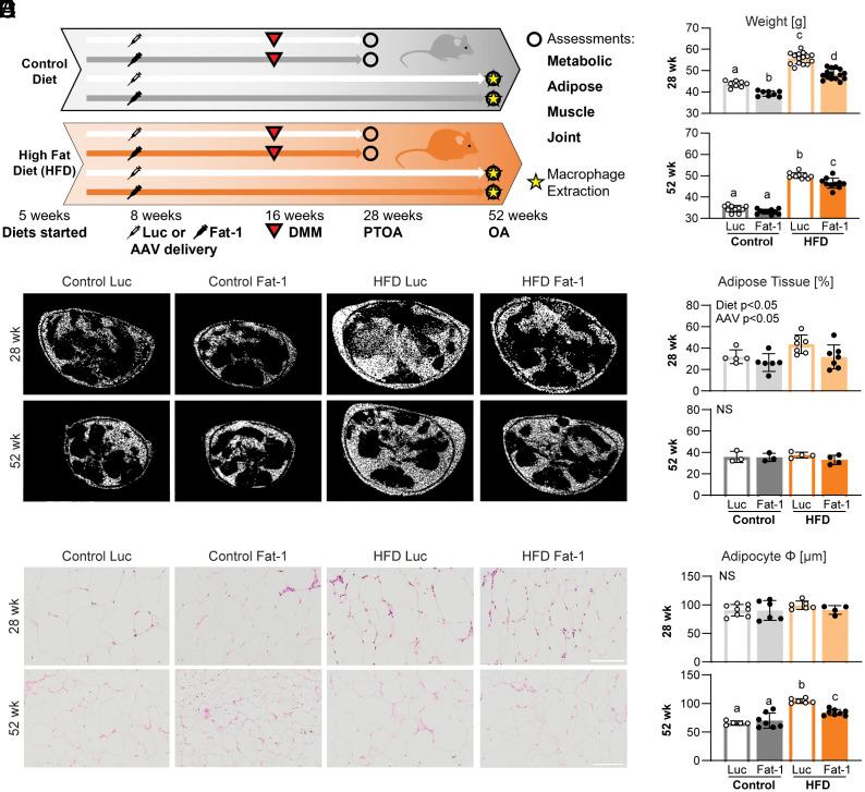 https://cdn.ncbi.nlm.nih.gov/pmc/blobs/da6a/11513907/d84b3e26a94e/pnas.2402954121fig01.jpg