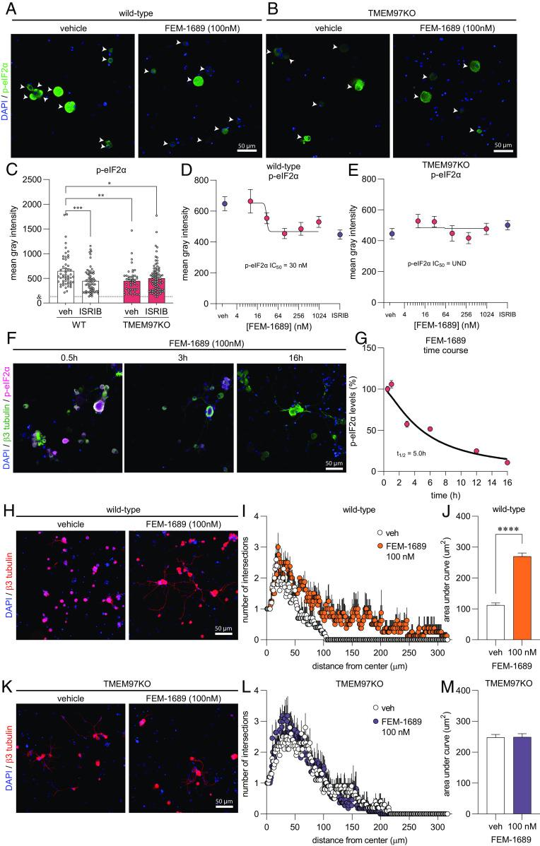 https://cdn.ncbi.nlm.nih.gov/pmc/blobs/da6d/10756276/1d16b1322593/pnas.2306090120fig04.jpg