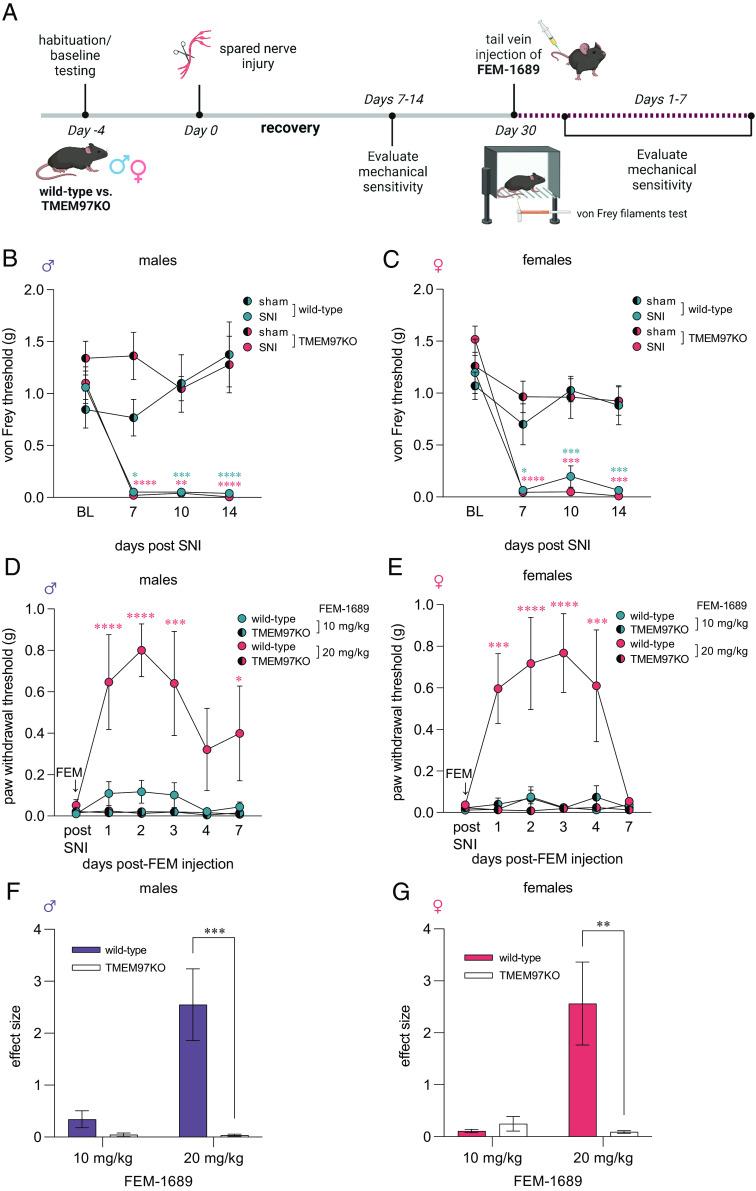 https://cdn.ncbi.nlm.nih.gov/pmc/blobs/da6d/10756276/a5c78f9d1d45/pnas.2306090120fig03.jpg