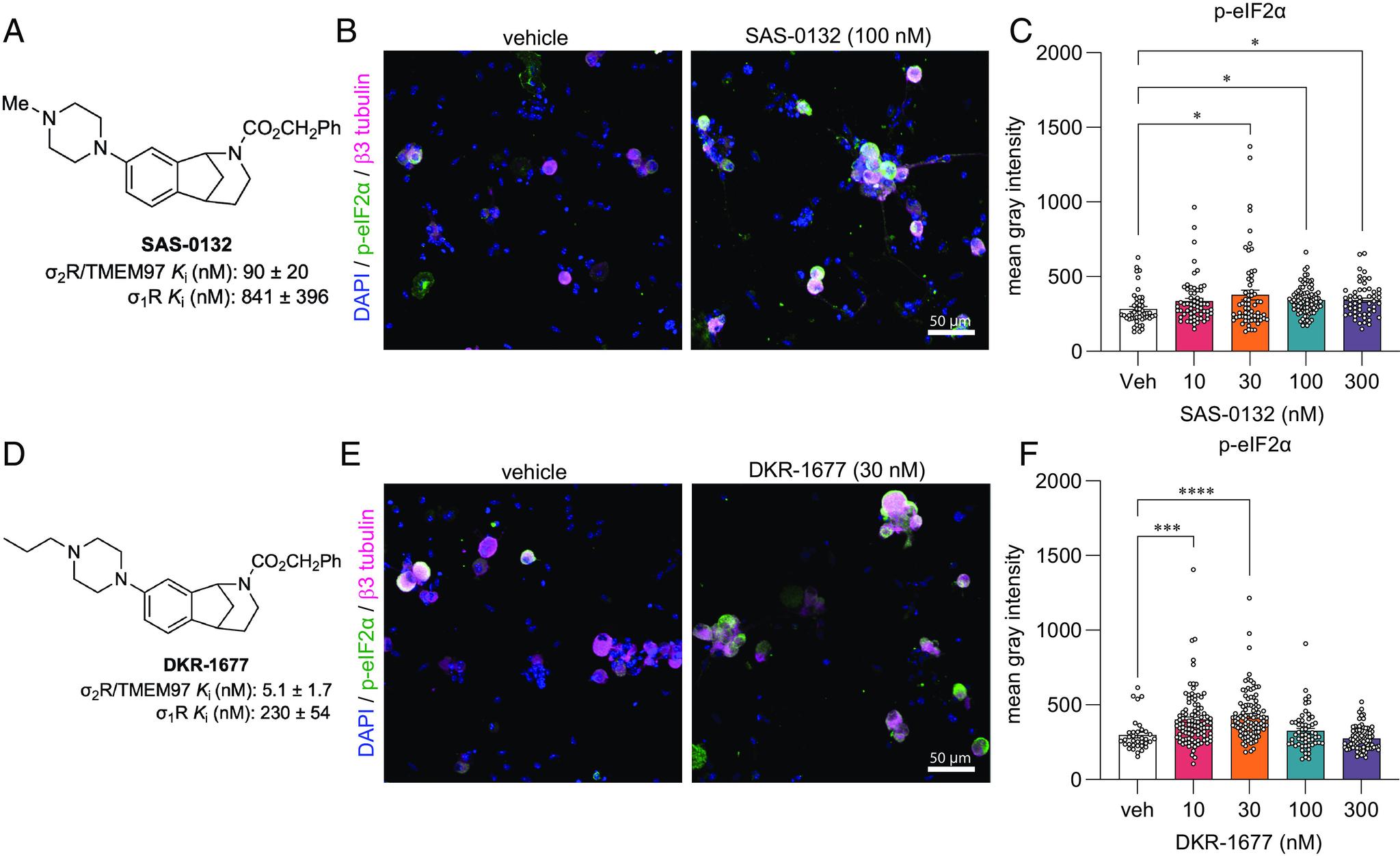 https://cdn.ncbi.nlm.nih.gov/pmc/blobs/da6d/10756276/b5580fdbe834/pnas.2306090120fig05.jpg