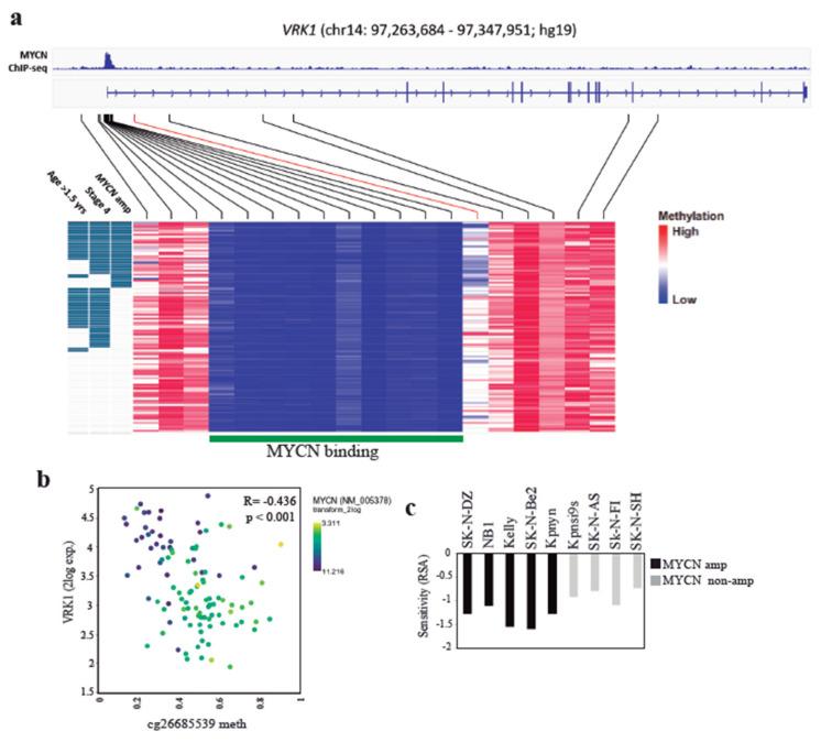 https://cdn.ncbi.nlm.nih.gov/pmc/blobs/da72/7699843/45391d9a4ffc/cancers-12-03465-g006.jpg