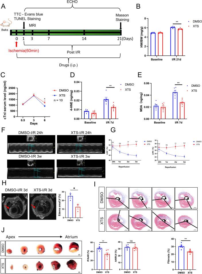 https://cdn.ncbi.nlm.nih.gov/pmc/blobs/da74/12306105/87a21416aecb/11658_2025_766_Fig4_HTML.jpg
