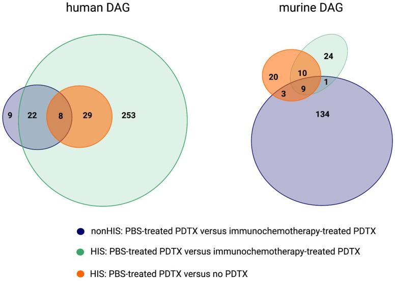 https://cdn.ncbi.nlm.nih.gov/pmc/blobs/da85/11432451/d8c30bc90cd0/ijms-25-09982-g006.jpg