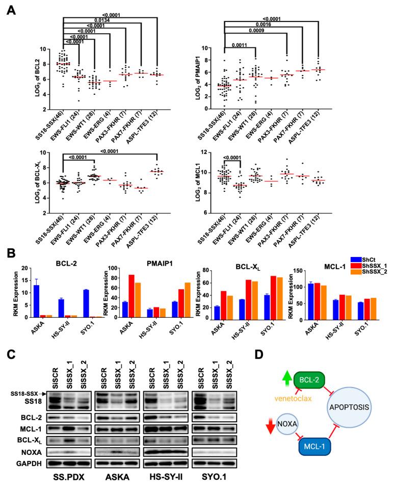 https://cdn.ncbi.nlm.nih.gov/pmc/blobs/da8e/8150384/3cc08b363e6c/cancers-13-02310-g001.jpg