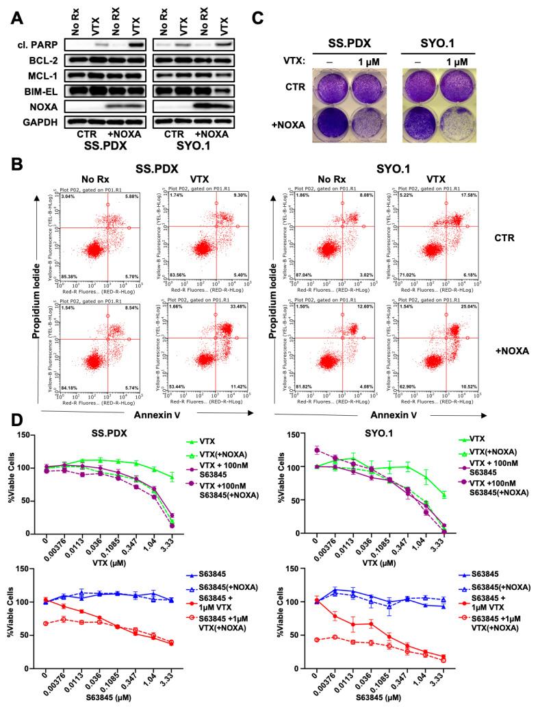 https://cdn.ncbi.nlm.nih.gov/pmc/blobs/da8e/8150384/6ed20cb967f3/cancers-13-02310-g002.jpg