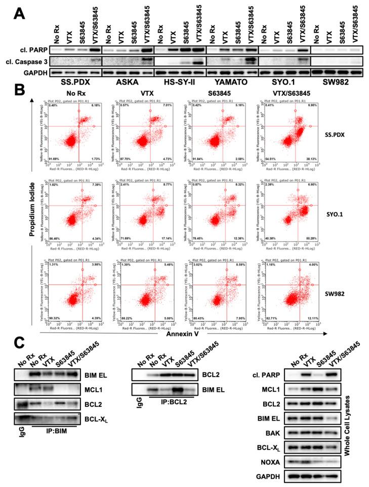 https://cdn.ncbi.nlm.nih.gov/pmc/blobs/da8e/8150384/793d826d7ef3/cancers-13-02310-g004.jpg