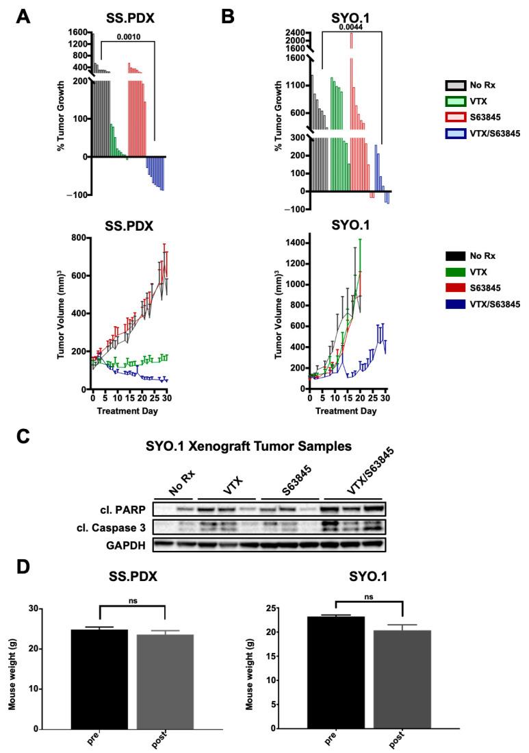 https://cdn.ncbi.nlm.nih.gov/pmc/blobs/da8e/8150384/c52b8b12d32e/cancers-13-02310-g005.jpg