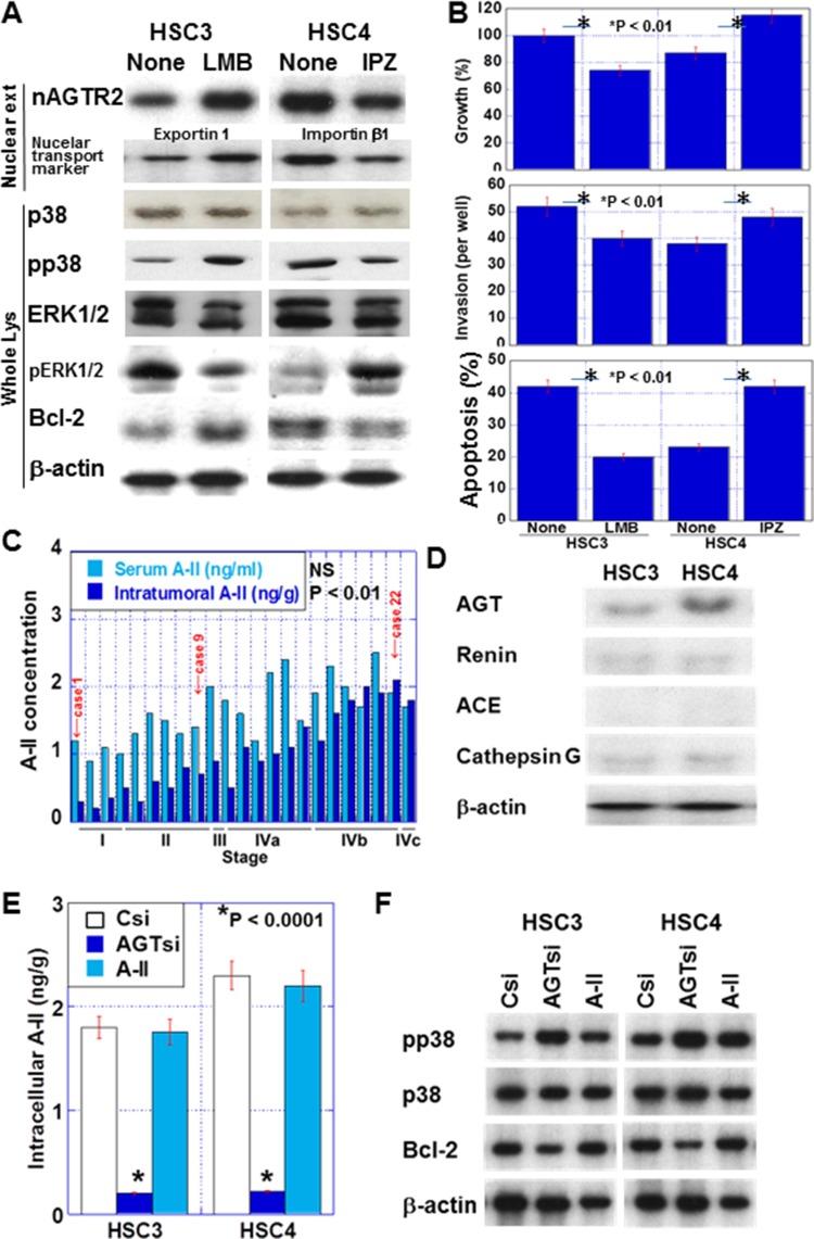 https://cdn.ncbi.nlm.nih.gov/pmc/blobs/da98/6290968/2d7ce1304715/oncotarget-09-36561-g005.jpg